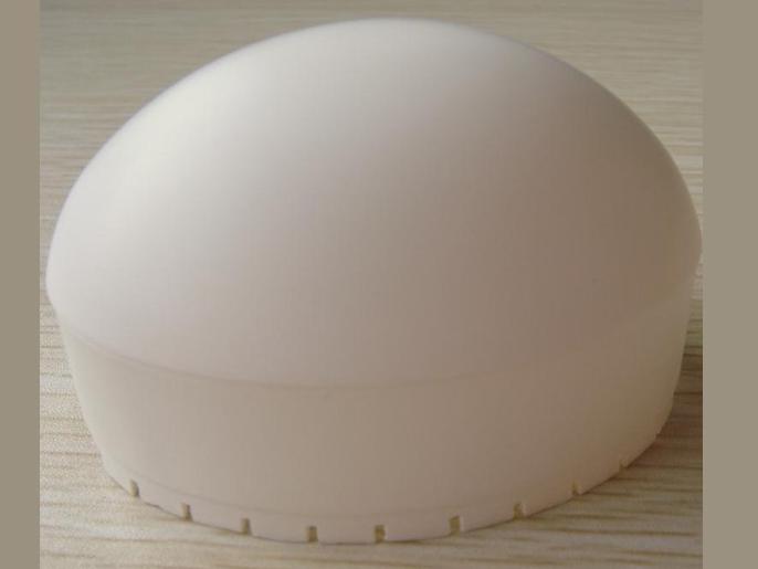 GE RAB4-8P Dome